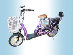 電動自行車品牌戰(zhàn) 制勝戰(zhàn)略與實(shí)戰(zhàn)策略